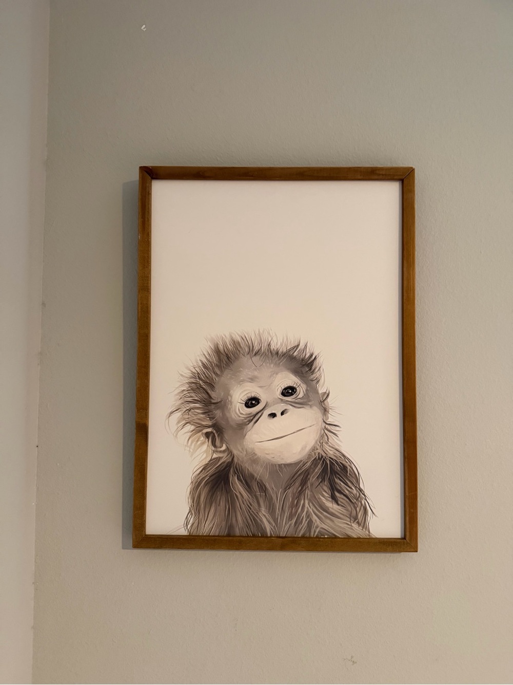 Hobby Lobby Baby Monkey Wall Art in Brown and White